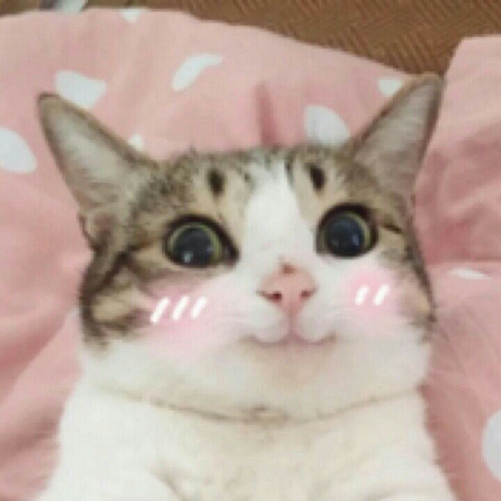 Hu