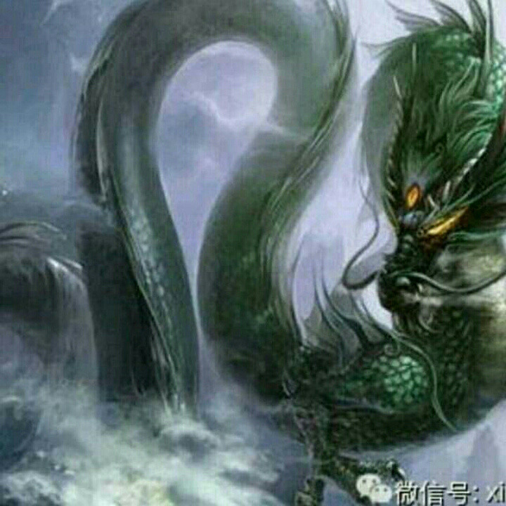 《真龙》