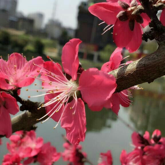 笑对人生