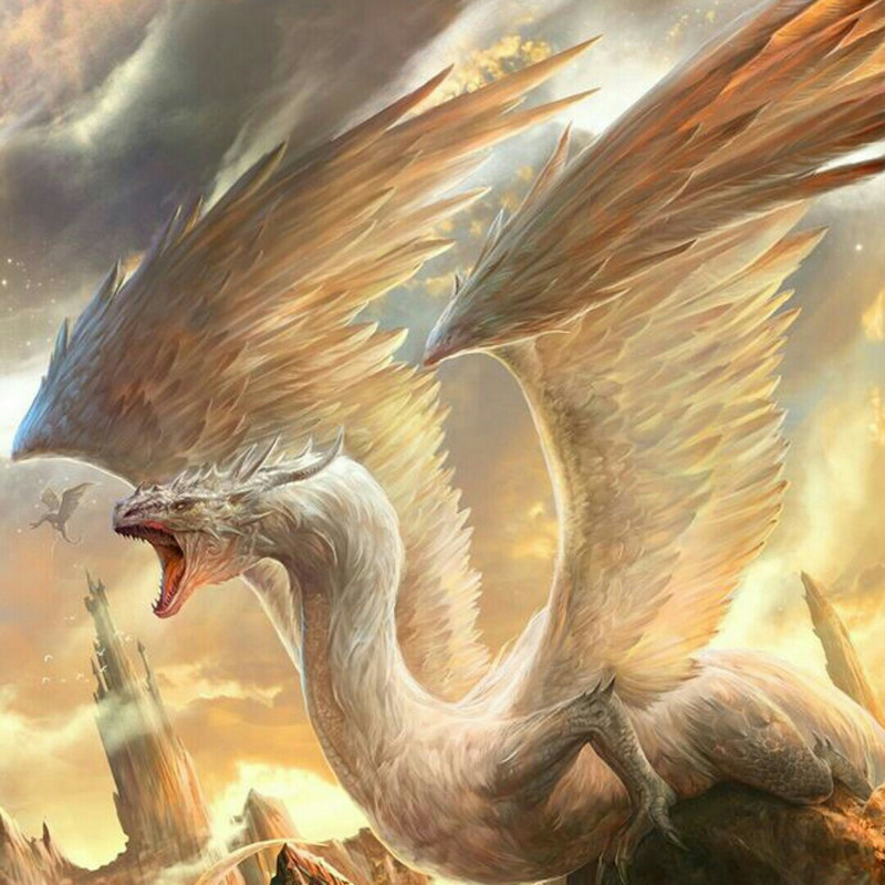 陈宇辉