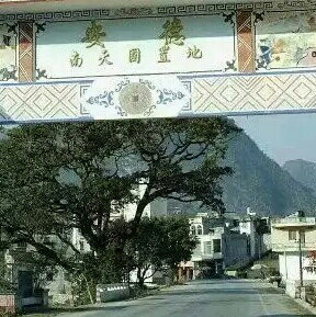 与狼共舞