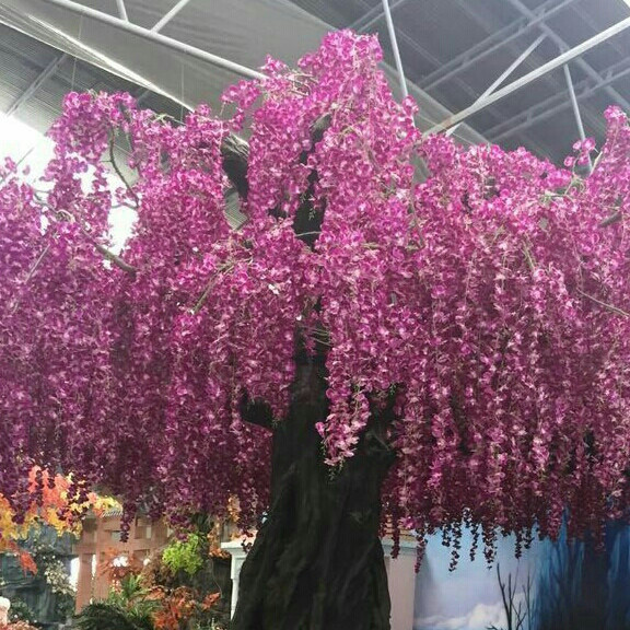 完美豆豆