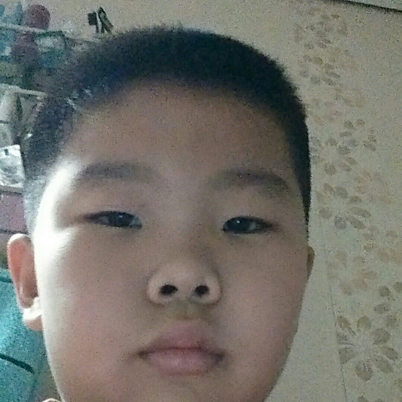 东北虎