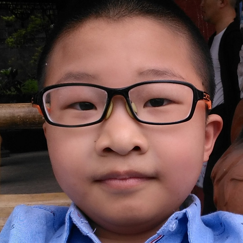 歌乐山的哥