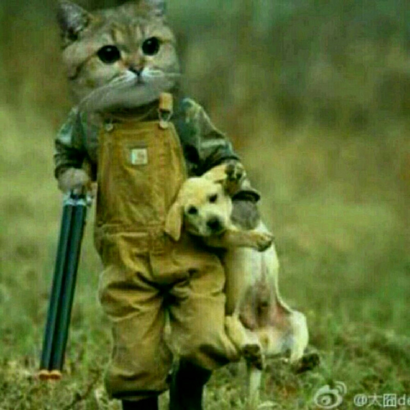 啊琛