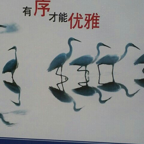宝宝