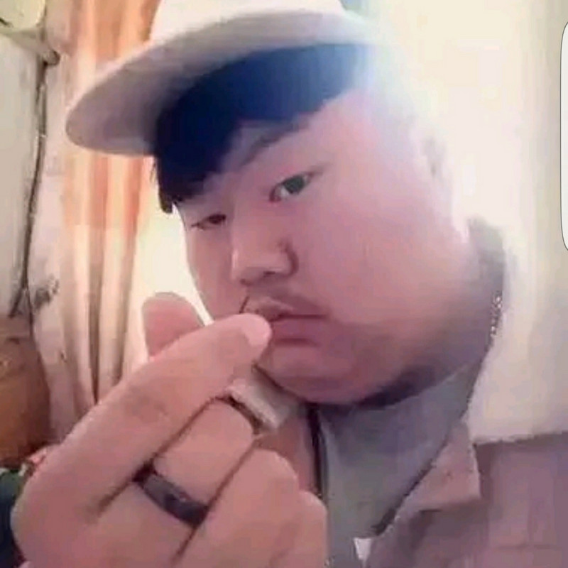 淮河送我去东北