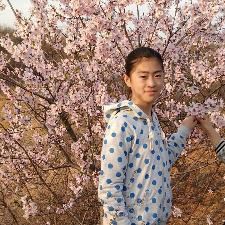 我的桃花源