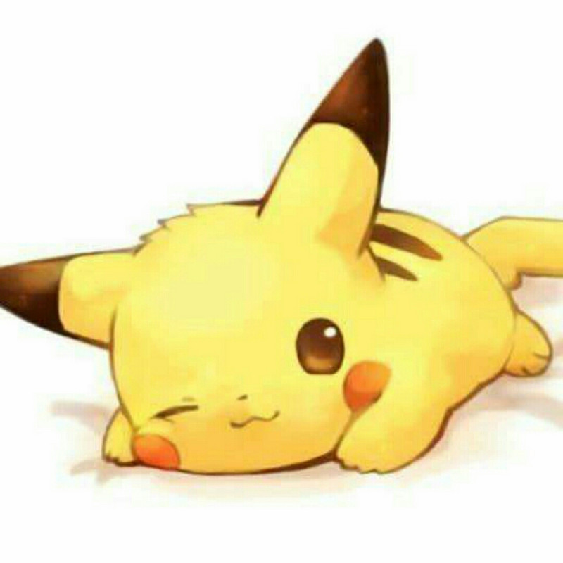 小灯泡✔