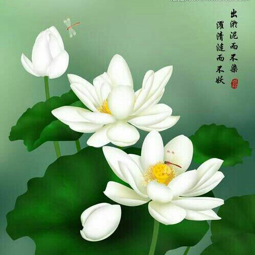 意在行先