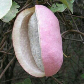 那份爱