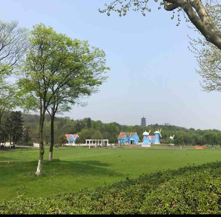 迎着风跑