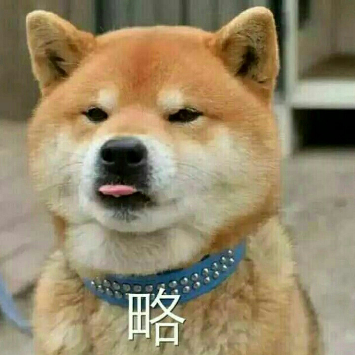南山不南