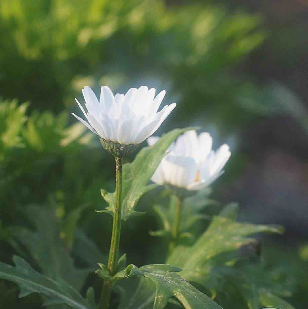 New_001