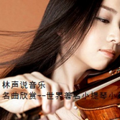 林声说音乐--名曲欣赏--世界著名小提琴小品