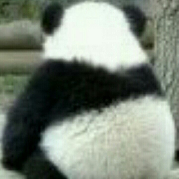 苏可耐
