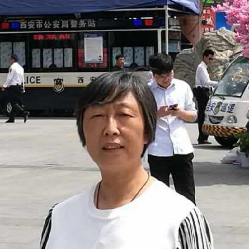冬菊倾听