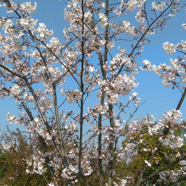 高兴