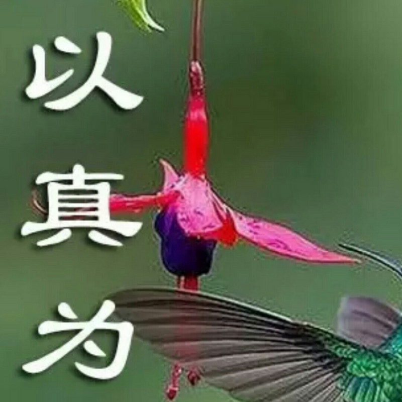 梁建红