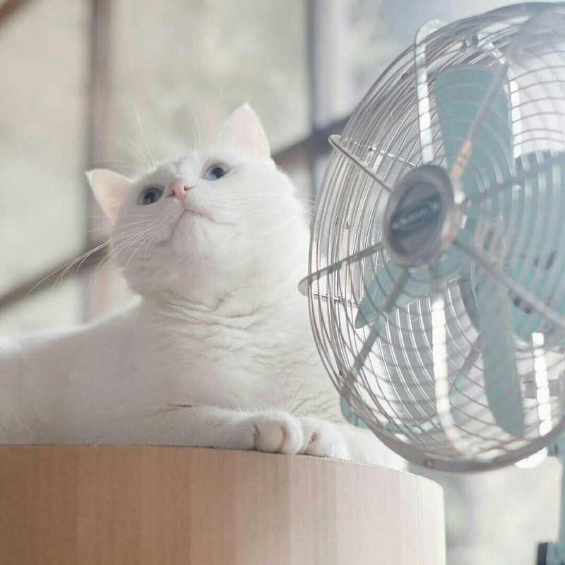 天晴