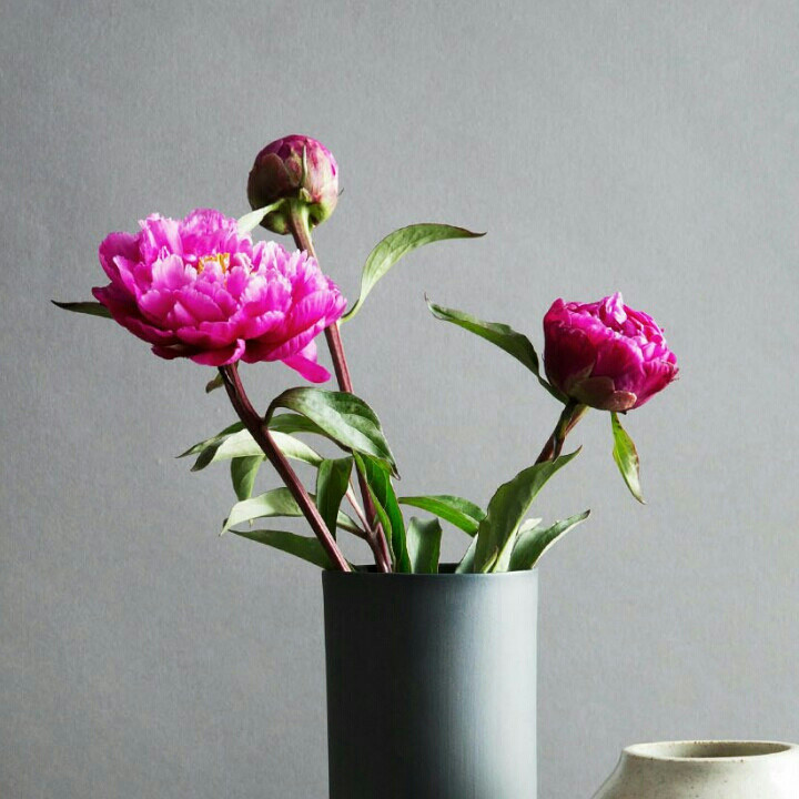 汇听