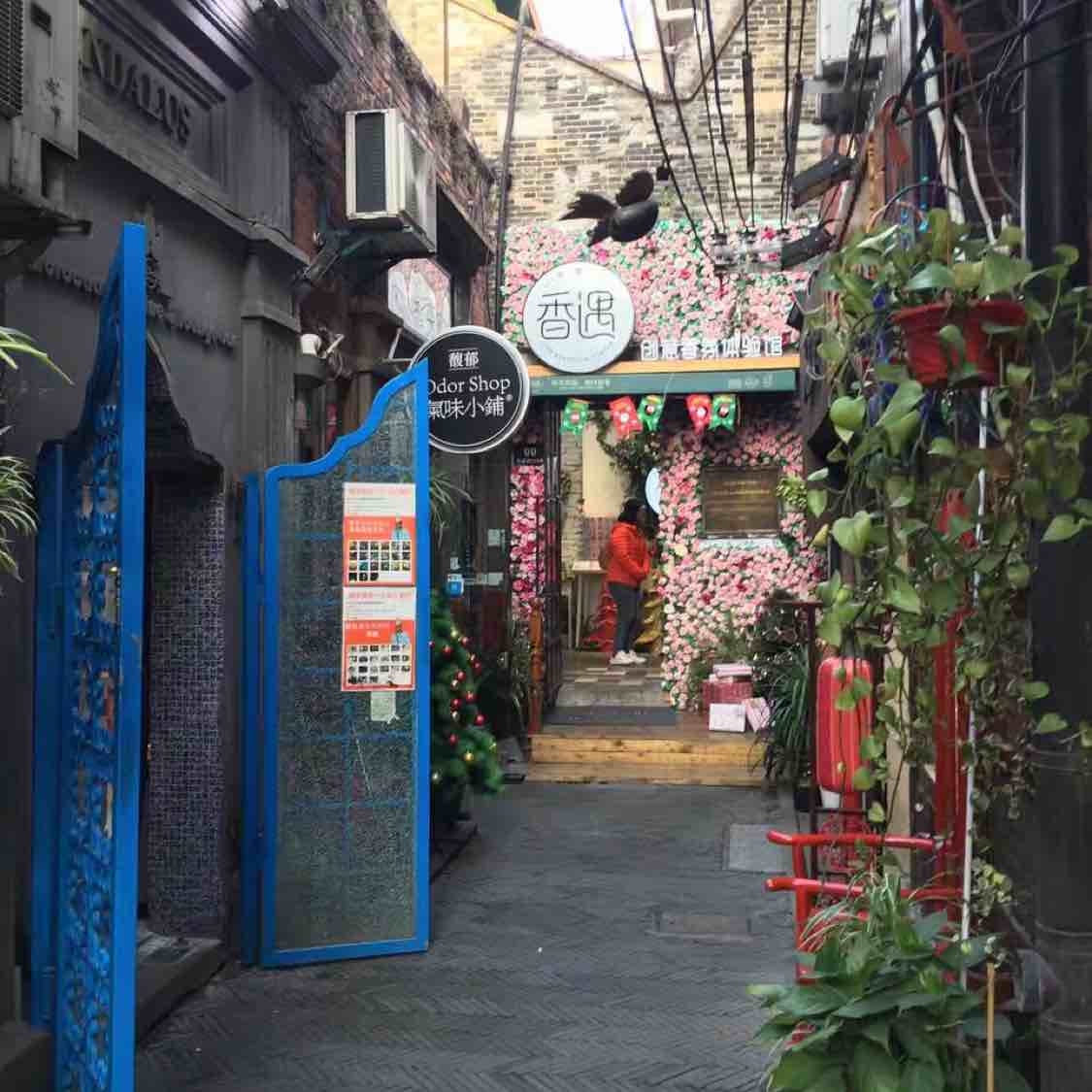 陈格格