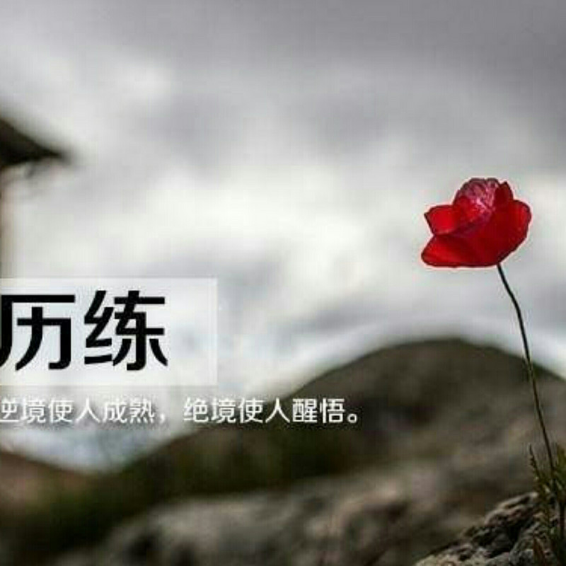 香辣哥