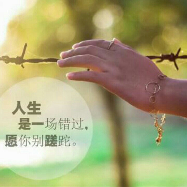 黑澀會+棒棒糖-苦茶