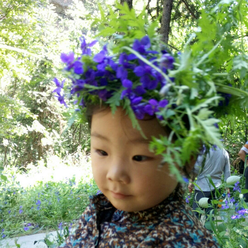 李安成