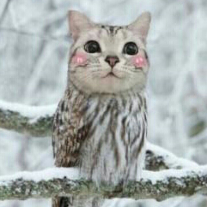 xx
