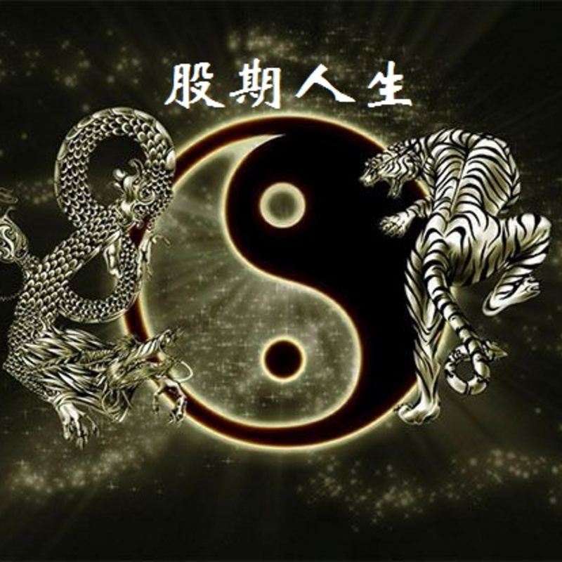 股期人生97