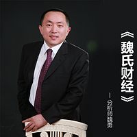 魏氏财经