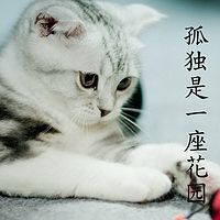孤独是一座花园
