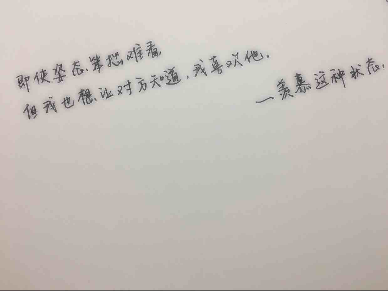 被这世界温柔款待