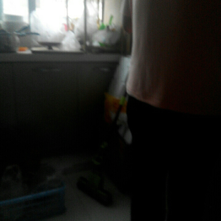 朱朱