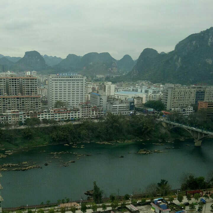 一颗大树•ᴗ•