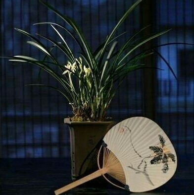 君子如玉
