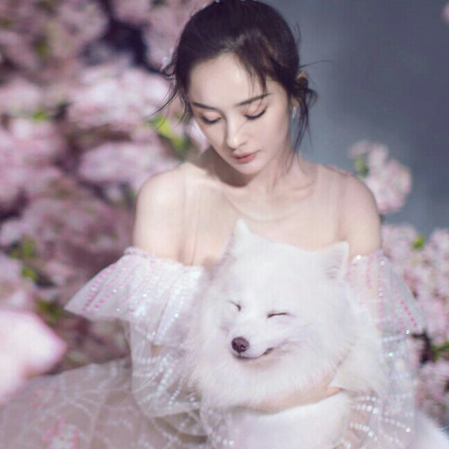午后＆奶茶