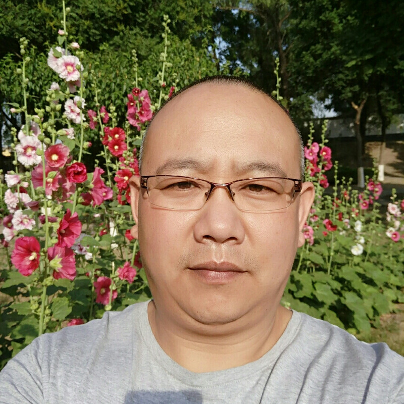 芦乡老高