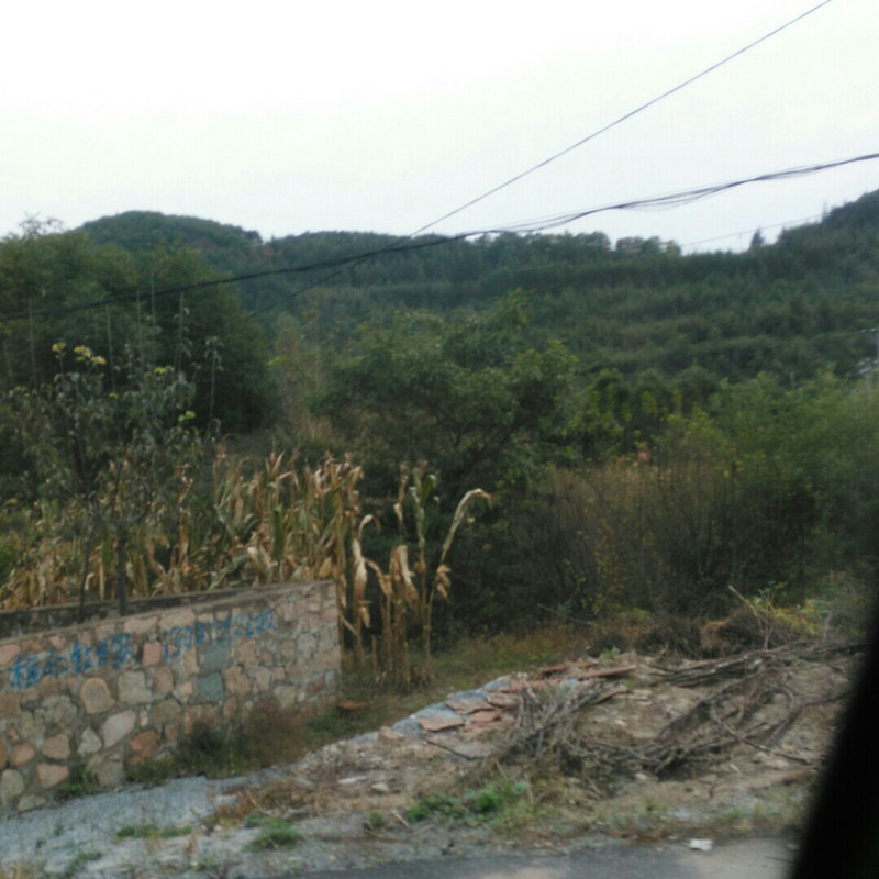 杰克鲍尔