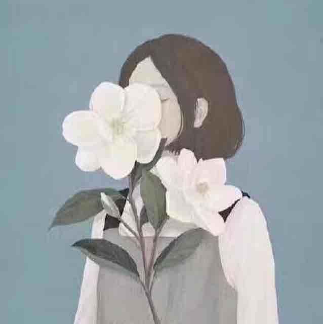 卷卷•辛小姐