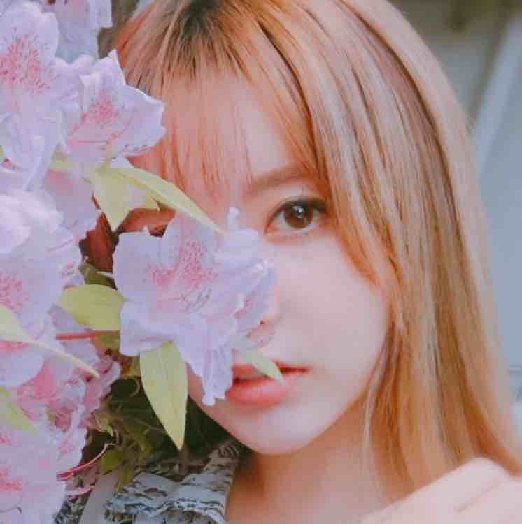 iKON_sulli