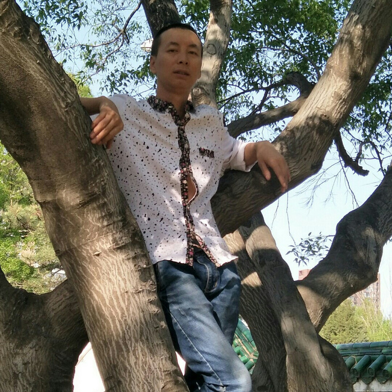 小虎