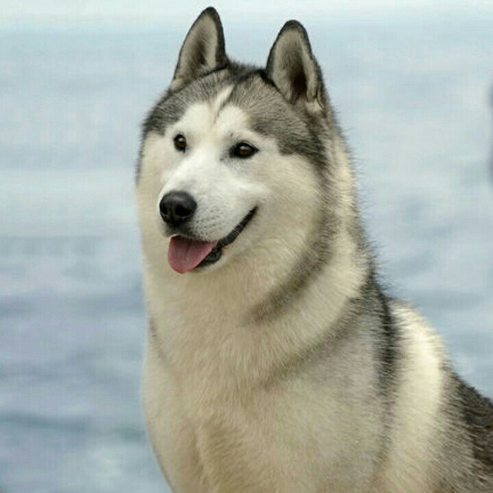 孤魂