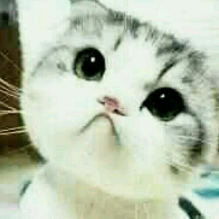 错吻