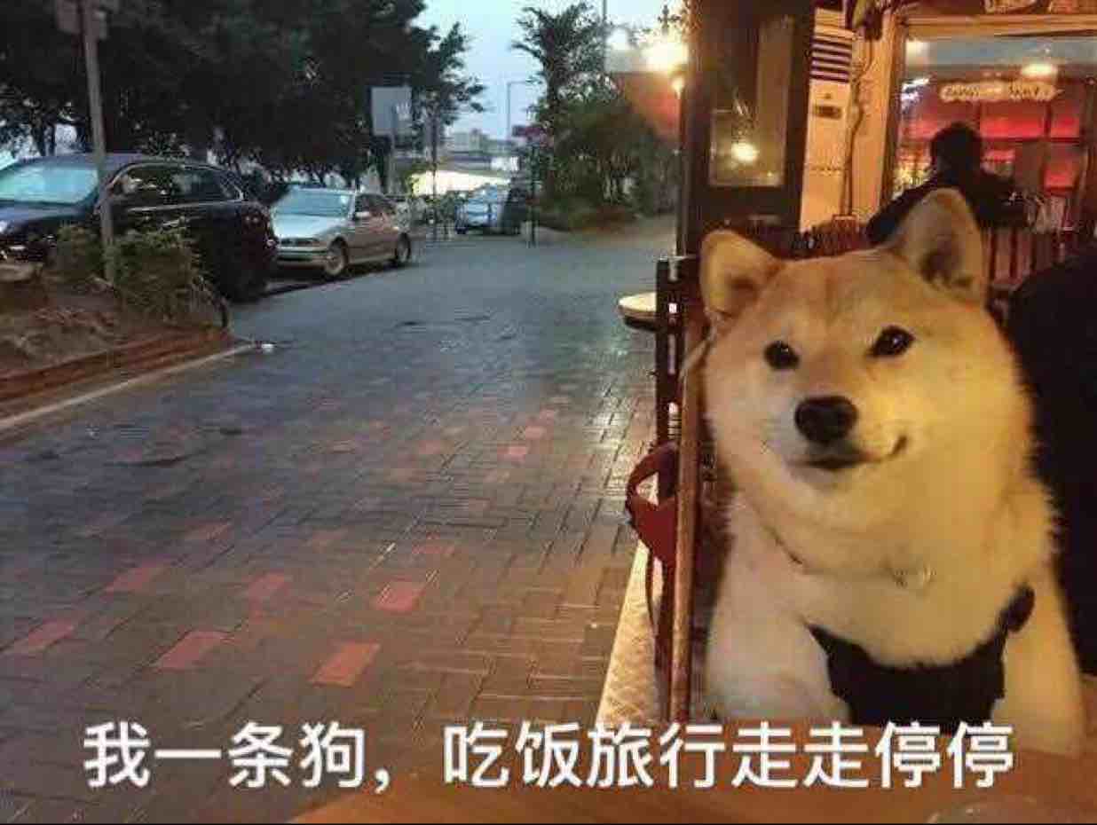 大王我大雨啊