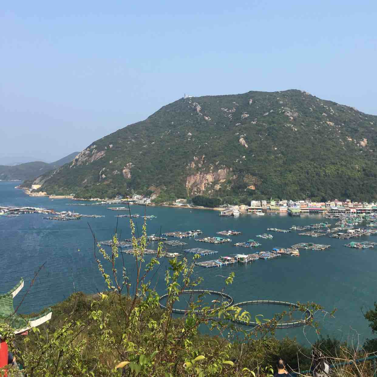 波