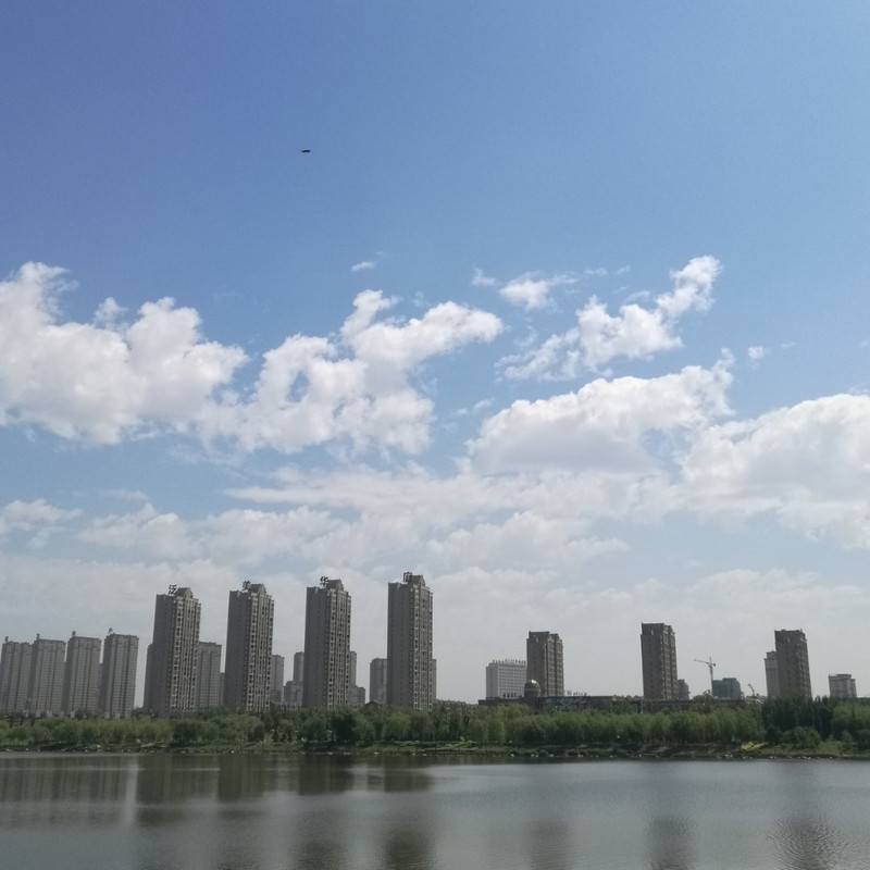 那年夏天那片宁静的海