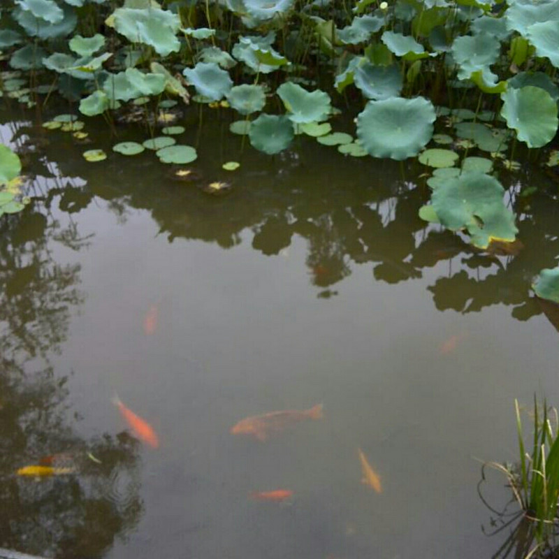 求阙i
