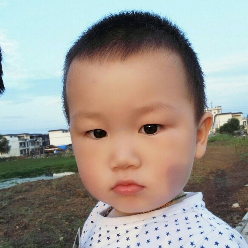学法365